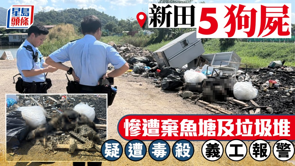 新田5狗屍棄魚塘垃圾堆疑遭毒殺 警列虐畜調查