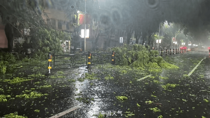 颱風「蝴蝶」過境海南昌江,城區樹木倒伏,交警城管連夜清障。 中國天氣 颱風「蝴蝶」過境海南昌江,城區樹木倒伏,交警城管連夜清障。 中國天氣