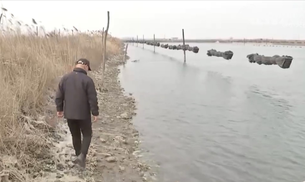 遼寧大連張先生經營海參養殖。 央視截圖