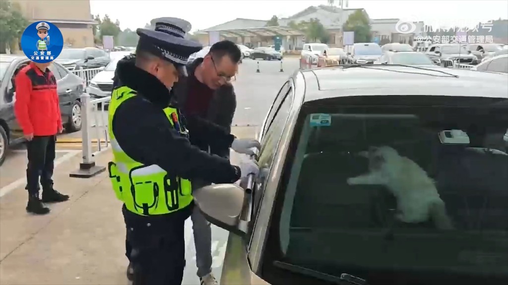 貓咪誤將車鎖上，讓主人棄於車外。微博@公安部交通管理局