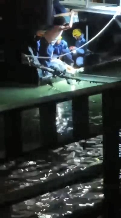 消防將男子救起。讀者提供
