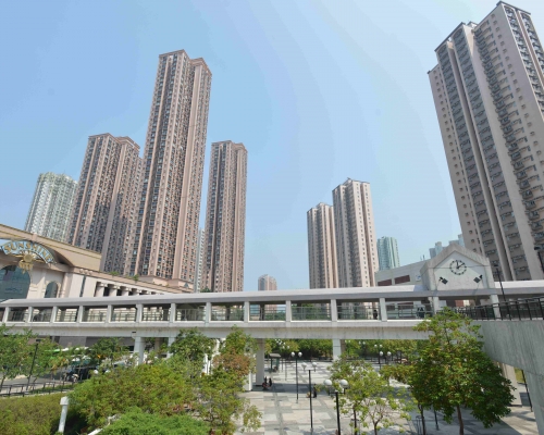 新港城三房800萬沽。