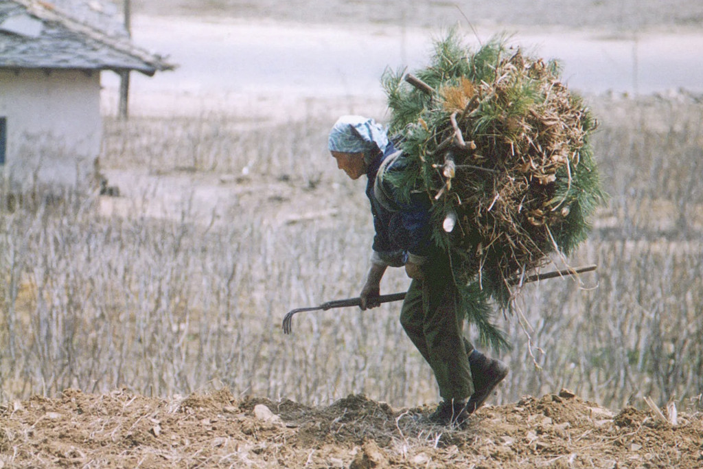 1990年代北韩曾发生大饥荒，无水无电、要配给，多达300万人死亡。 资料图片