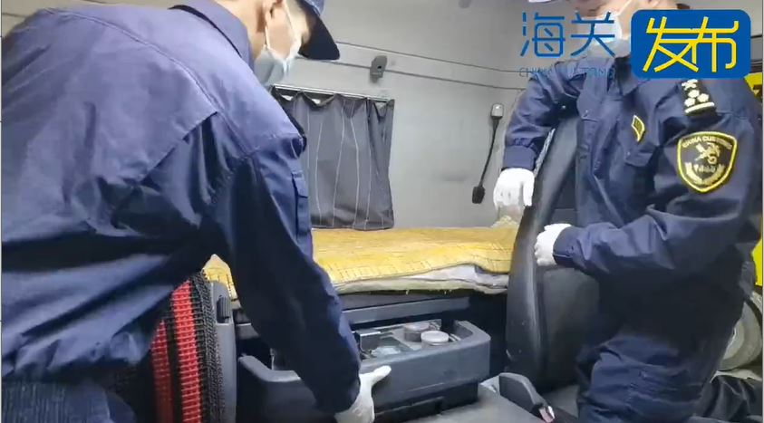 深圳海關查獲來自香港的資車走私牛栢葉。