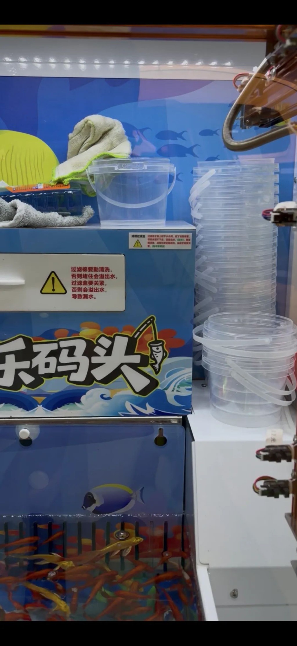玩家可投幣試從金魚箱撈金魚。 玩家可投幣試從金魚箱撈金魚。