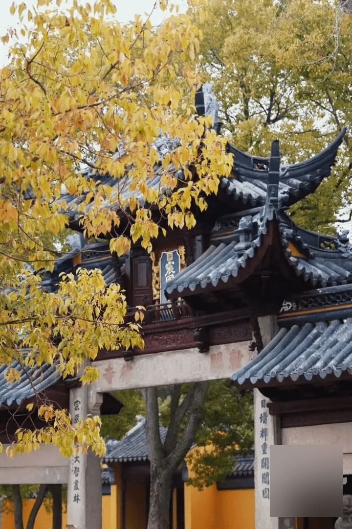 西園寺。（網絡圖片）