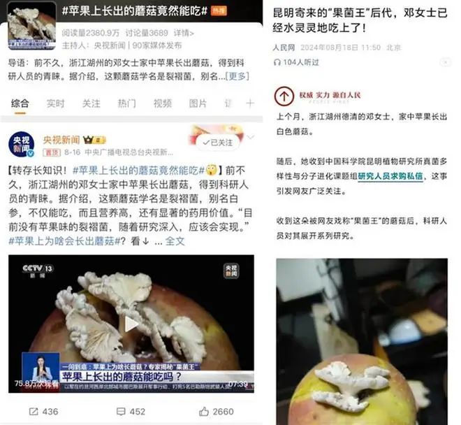 “发霉苹果”事件在网上成为热话。