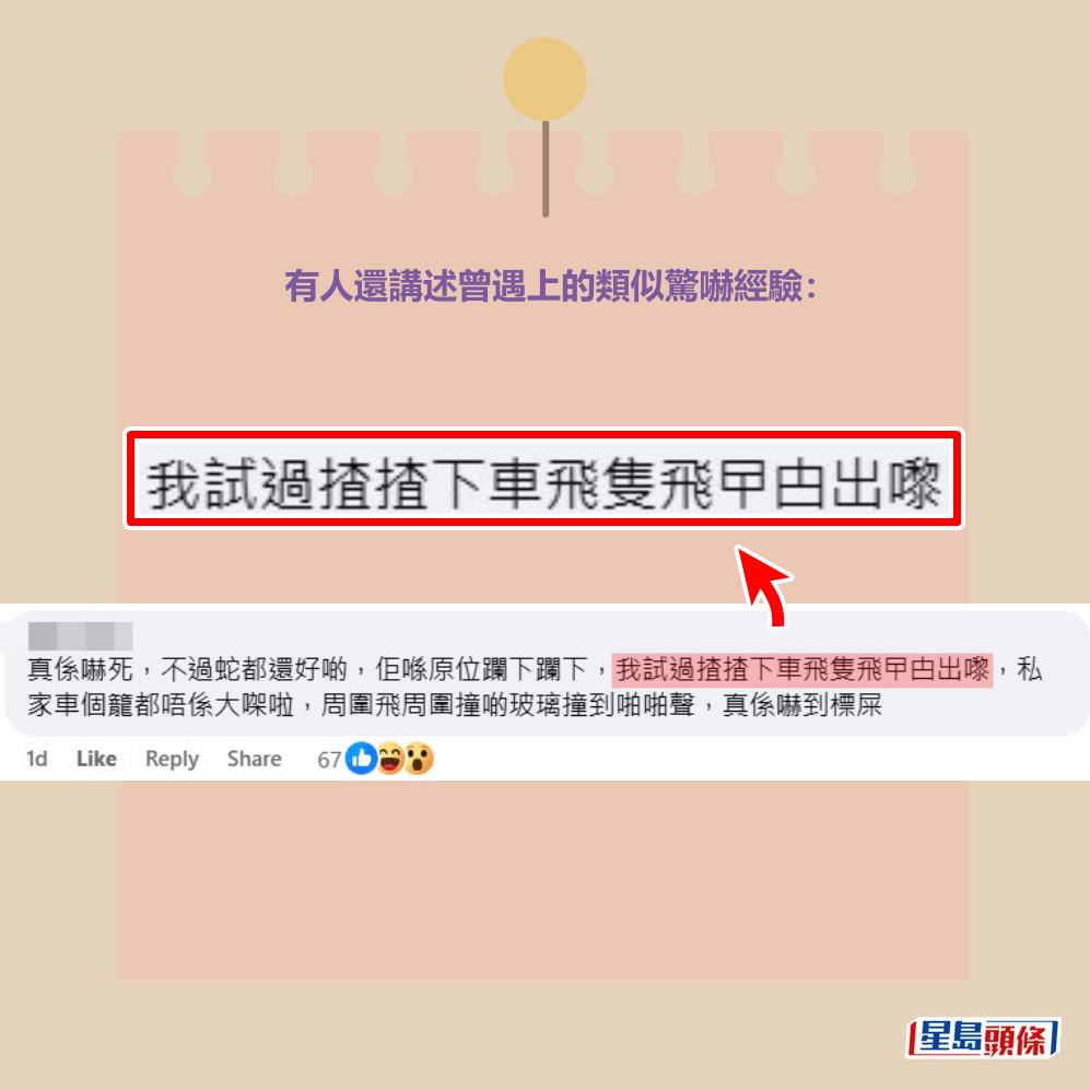 有人還講述曾遇上的類似驚嚇經驗，「真係嚇死 ，不過蛇都還好啲，佢喺原位躝下躝下，我試過 揸揸下車飛隻飛曱甴出嚟，私家車個籠都唔係大 㗎啦，周圍飛周圍撞啲玻璃撞到啪啪聲，真係嚇 到標屎」。Threads截圖