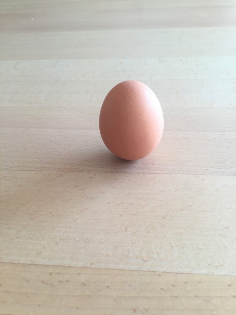 立春｜在立春之日，可以將雞蛋「立」起來，就代表立春。（圖片來源：PhotoAC）