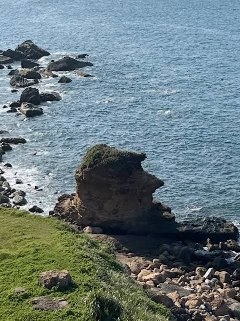 台灣瑞芳海岸巨石神還原特朗普側臉。 threads 台灣瑞芳海岸巨石神還原特朗普側臉。 threads