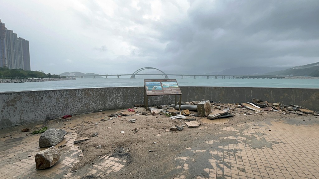 將軍澳海濱滿地沙石。楊偉亨攝