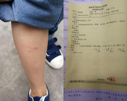 深圳男子用棍打死該狗隻，卻遭到狗主人要求索償。 網上圖片
