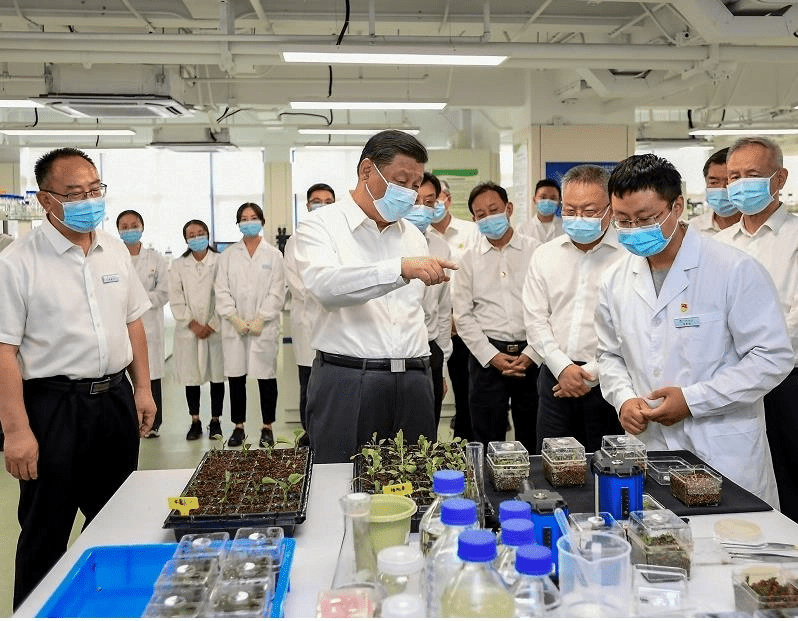 習近平日前在海南三亞視察。網圖