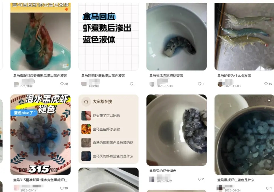 蝦煮出「詭異藍」事件，引發熱議。