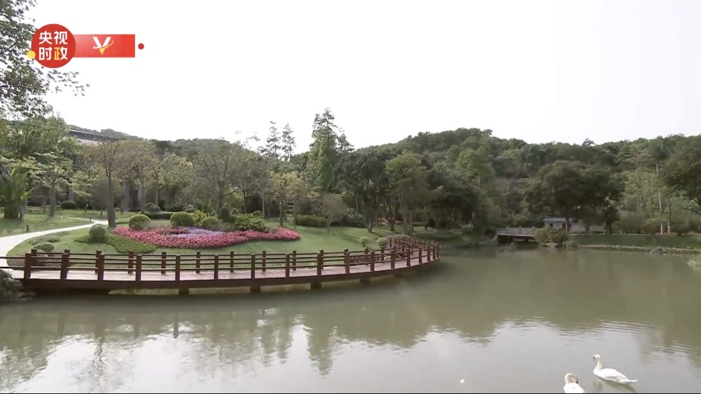 广州松园景色。 央视截图