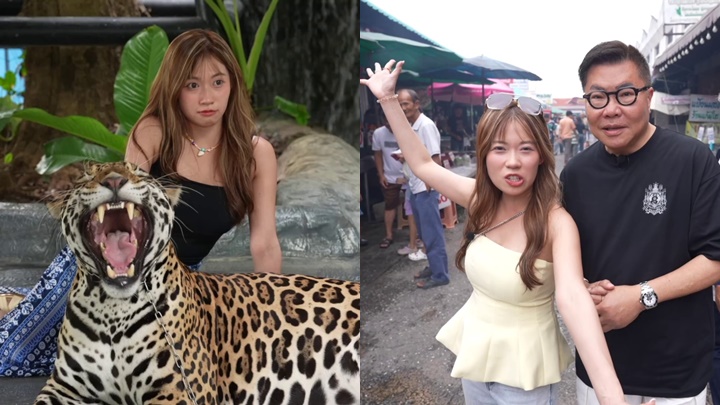 「波波」黃婧靈搵命搏同花豹合照  遭長頸鹿圍舔：以為我係紅蘿蔔