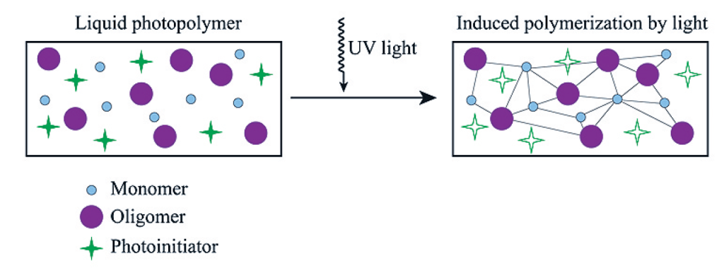 光引发剂（photoinitiator）接收紫外光后，会产生不稳定的自由基，在连串反应下把细小的分子单体（monomer）或低聚物（oligomer）交叉连接，形成坚固的网络。
