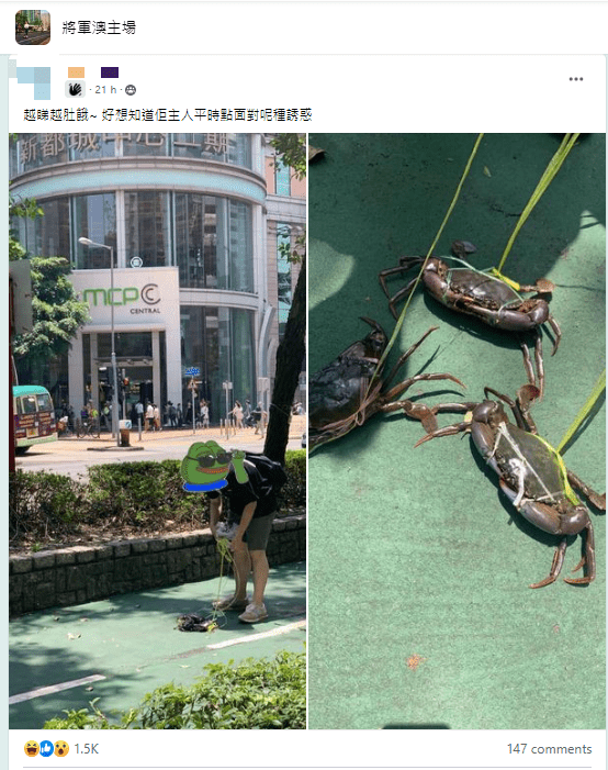 樓主見到此情景笑指：「越睇越肚餓~ 好想知道佢主人平時點面對呢種誘惑。」（圖片來源：FB @將軍澳主場）