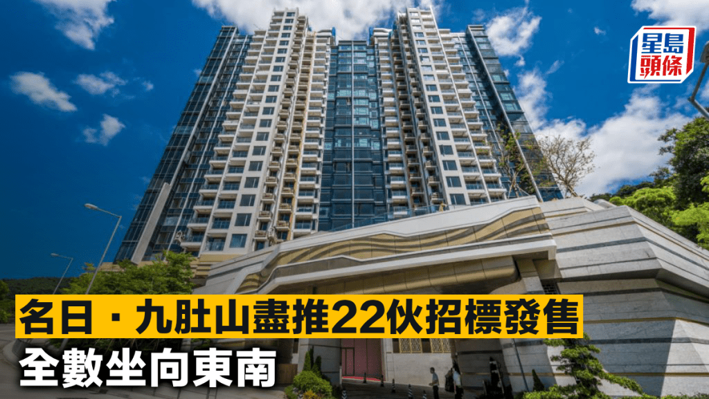 名日.九肚山盡推22伙招標發售 全數坐向東南