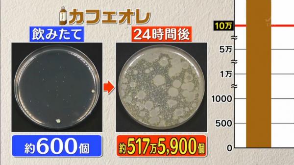 牛奶咖啡含菌量急升至517萬5,900個。網圖