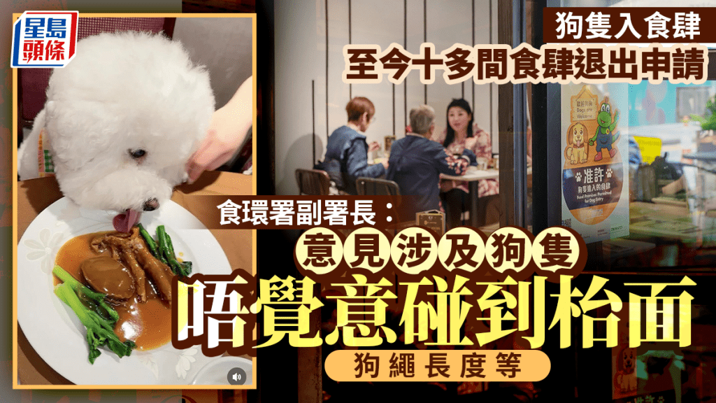 狗隻入食肆︱食環署：約十多間食肆退出申請 收到意見涉及狗帶、狗隻「唔覺意碰到枱面」等