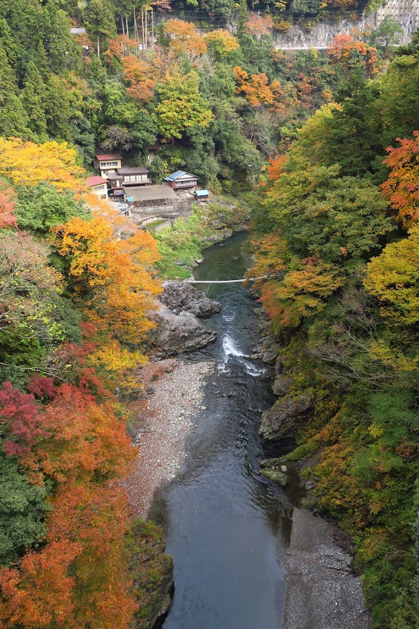 秋色醉美的高尾山，是個健行賞景好去處。