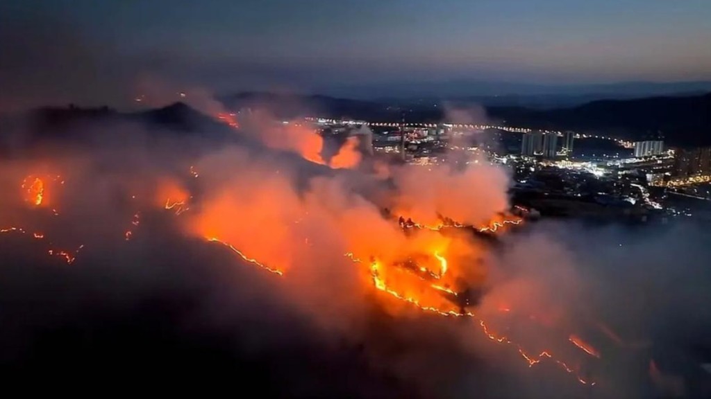 【中国新闻】贵州山火跨烧半个省 国家森防办督查究责 / 更多新闻………