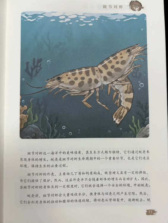 内地科普书现“双头虾红缨枪鱼”插图，刚入选“优秀图书”即下架。观察者网