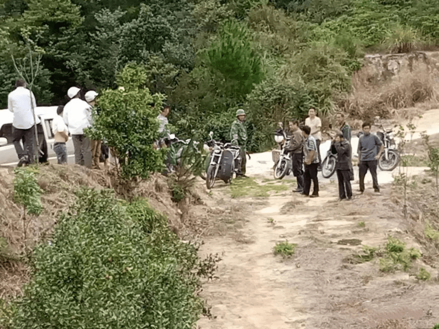 警方封鎖地宮所在的梨園進行調查。