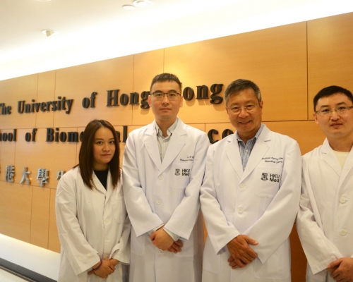 港大醫學院和其他學術機構組成的研究團隊,發現遺傳基因突變可致「滑鼠手」。