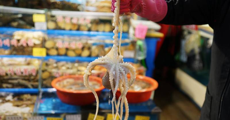 活章鱼是韩国有名料理，许多游客也慕名尝试。