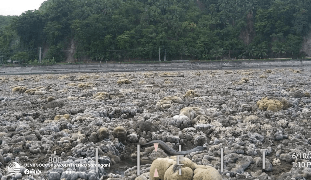 受強震引發的巨大地殼推力結構影響,一大片海床竟然被抬升露出。X@volcaholic1 受強震引發的巨大地殼推力結構影響,一大片海床竟然被抬升露出。X@volcaholic1
