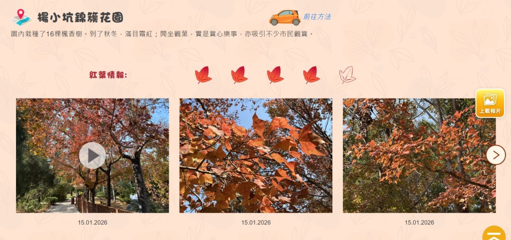 康文署「康文賞花情報」「紅葉情報」截圖