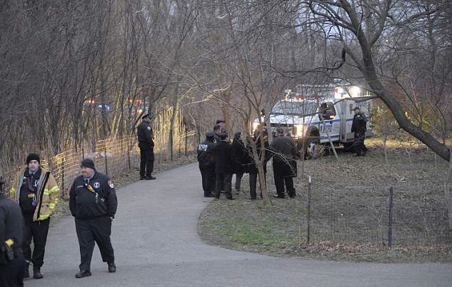 警員接報後到公園長時間搜索,至翌日在附近街道發現腿部和手臂斷肢,並在一個膠袋裡發現其他身體部位。