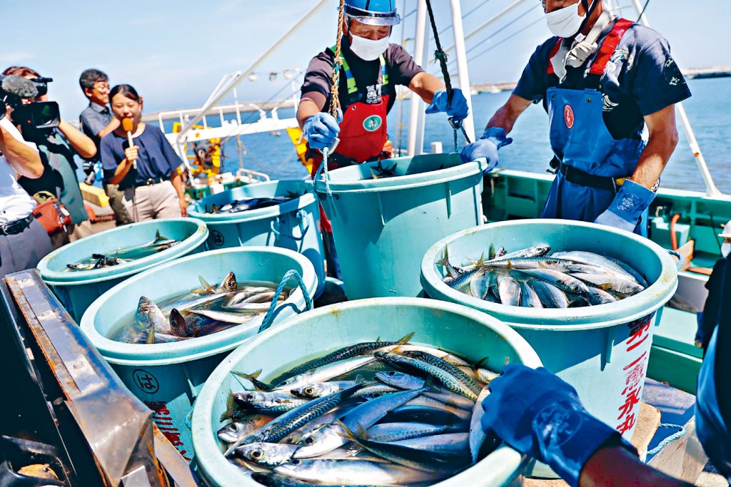 核污水排放後約一周，漁民上周五在福島相馬市卸下捕獲的魚。