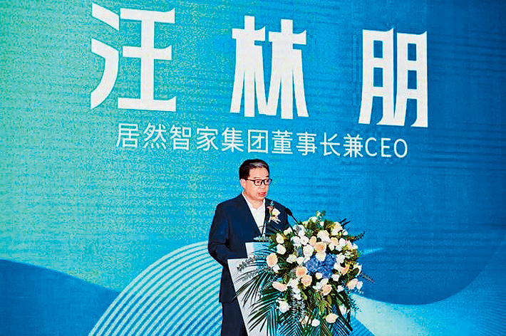 前湖北首富汪林朋。