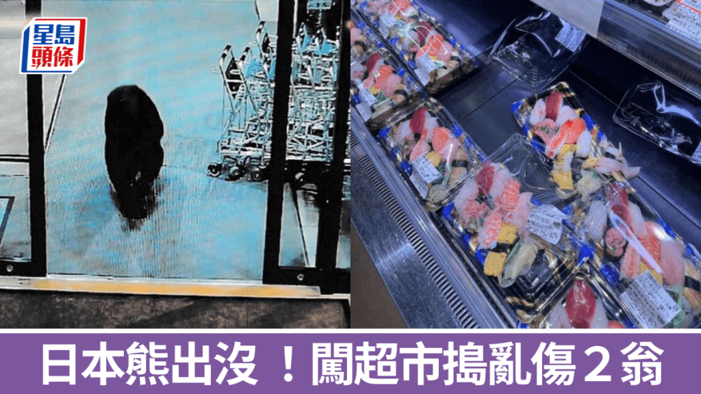 日本熊出沒｜闖群馬縣超市傷2翁 岩手縣亦有人上山採菇疑遭熊襲亡