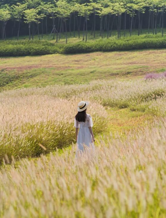 陌上花公园是秋天热门景点