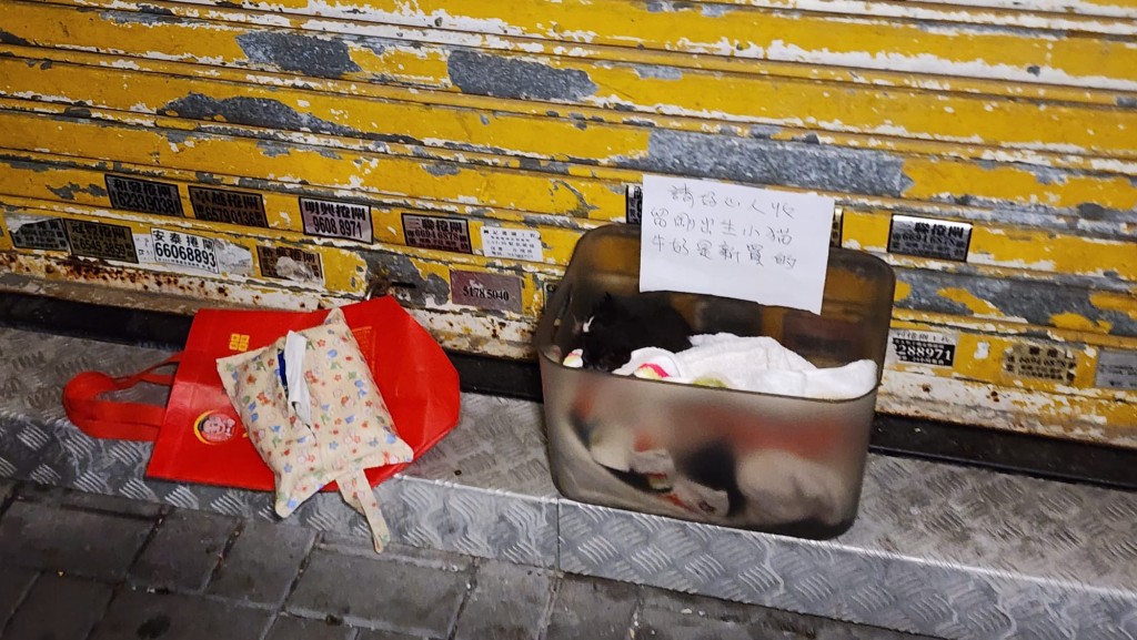 有人將一個膠兜遺棄在深水埗欽州街60至66A地舖門外，內有4隻黑色初生小貓，上面更放有一張寫有「請好心人收留剛出生小貓 牛奶是新買的」紙條，旁邊有兩個疑盛載小貓前來的布袋。黎志偉攝