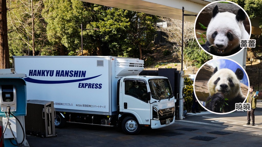 旅日大熊貓「曉曉」和「蕾蕾」周二啟程回國。新華社/中新社