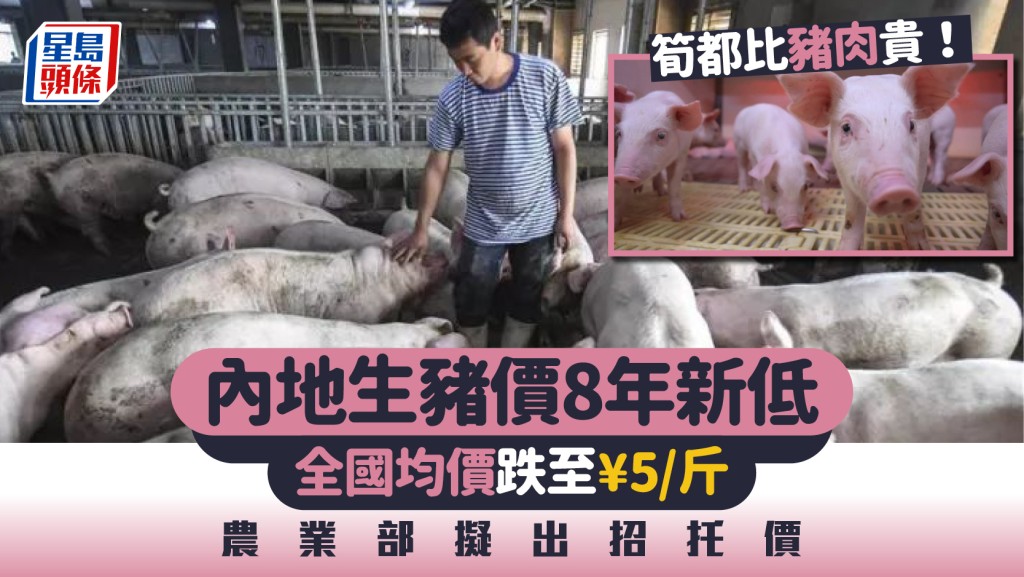 內地生豬供應失衡，豬肉5元一斤大賤賣。