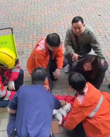 女貓主傷心痛哭，其男親屬攬肩安慰。讀者提供影片截圖