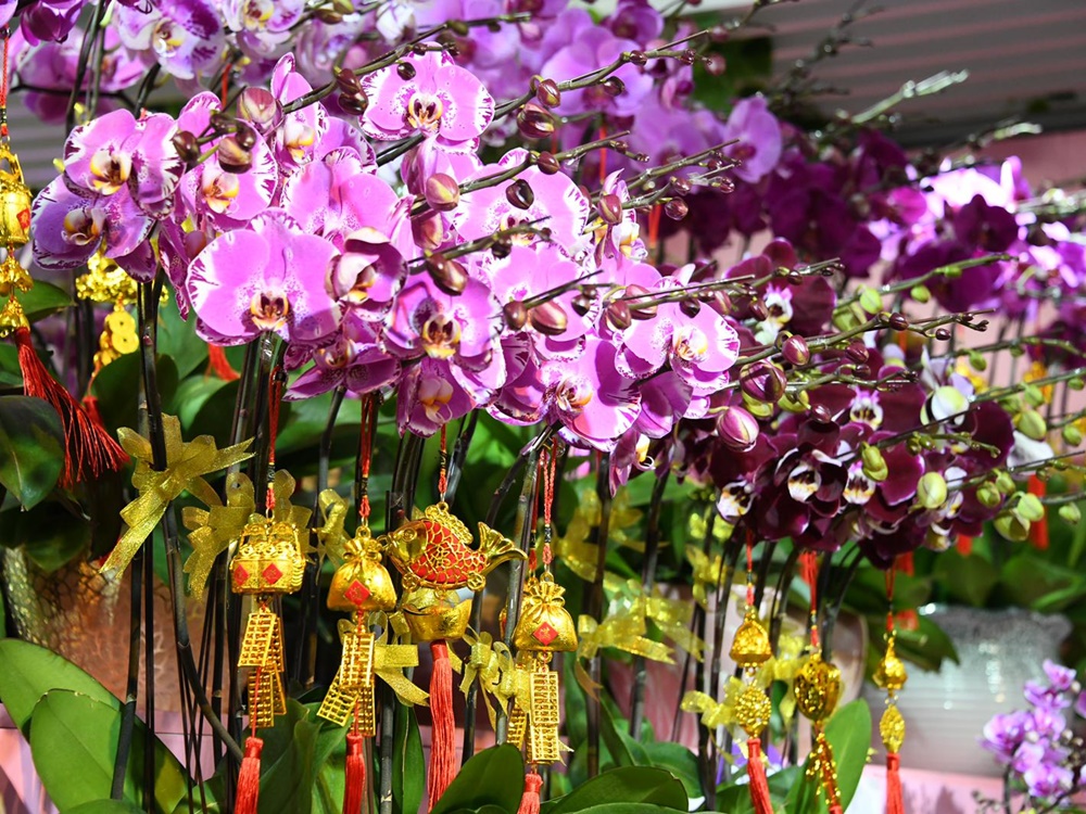 花農預料每個家庭的平均花費約800港元。