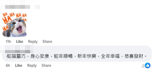 網民：蛇貓靈巧，身心安康，蛇年順暢，新年快樂，全年幸福，恭喜發財。fb「Oh Yes! 有野執 (報料群組)」截圖