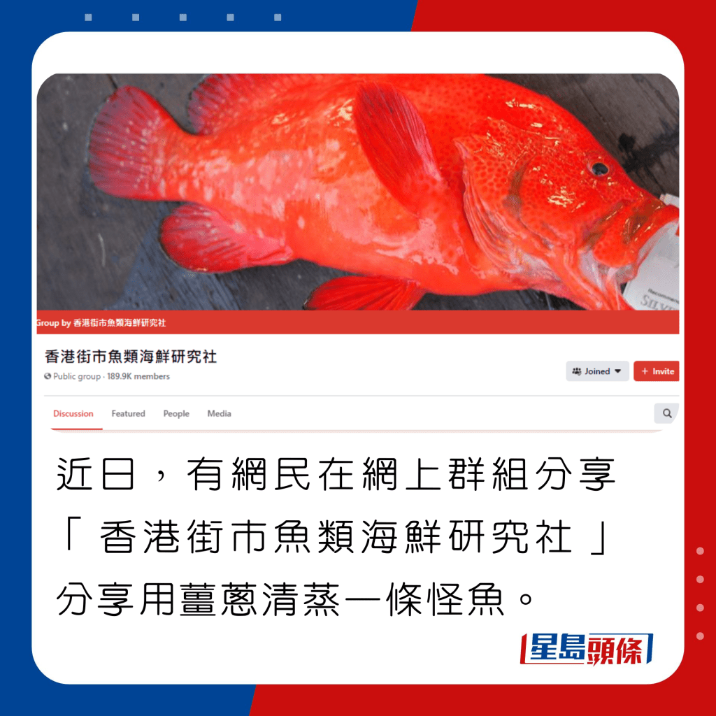 魚癡蒸大頭觀賞魚 網友諗起楊千嬅蒸七伯