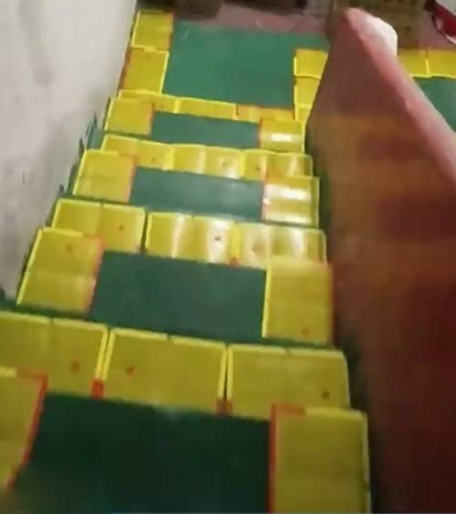 东莞男百张老鼠胶封楼梯，仅留中间部分可「落脚」。