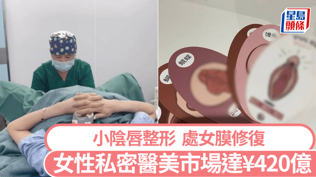 內地女性私密部位整型市場不斷擴大，已年達420億人民幣規模。小紅書@周芬︱專注女私 /@林媽兒歌