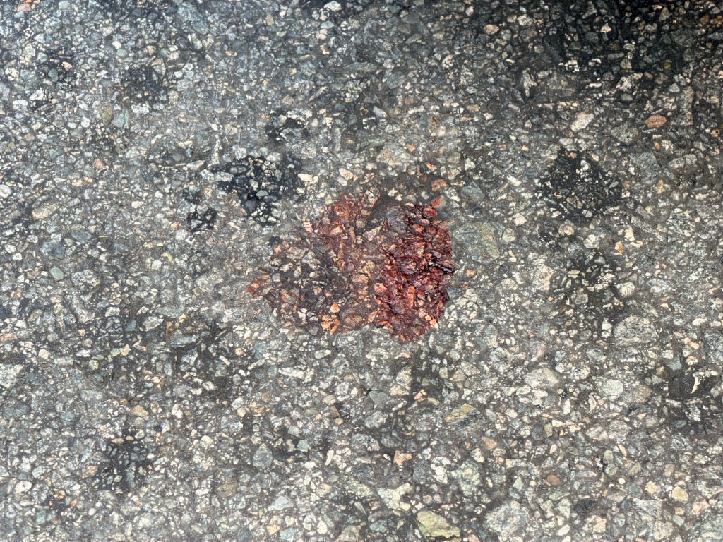 地上遺有血迹。