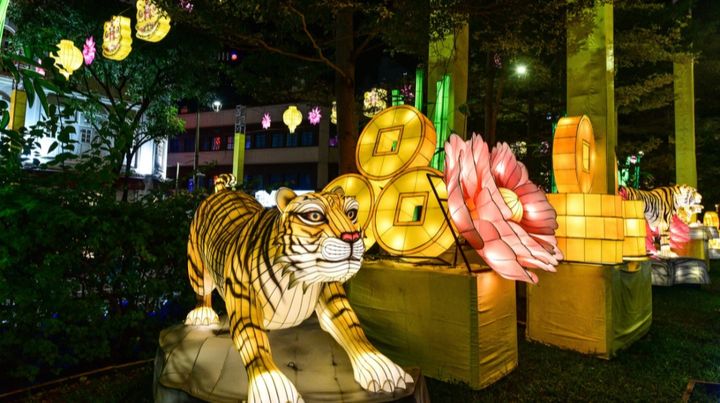 大約六十個以老虎作造型的手製燈籠，成為牛車水在農曆新年的亮點。