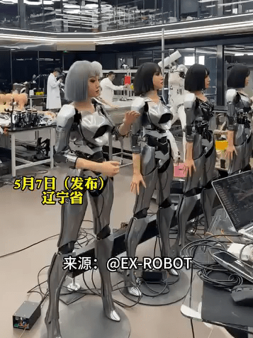 EX Robot 公司专注于开发能够与人交流并为公众服务的拟真机械人。